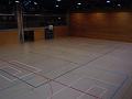 Linien zweidrittel Halle